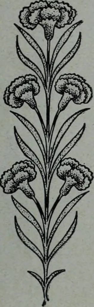 An illustration from Tissus et nouveauts 1906, 1906, leaf 400