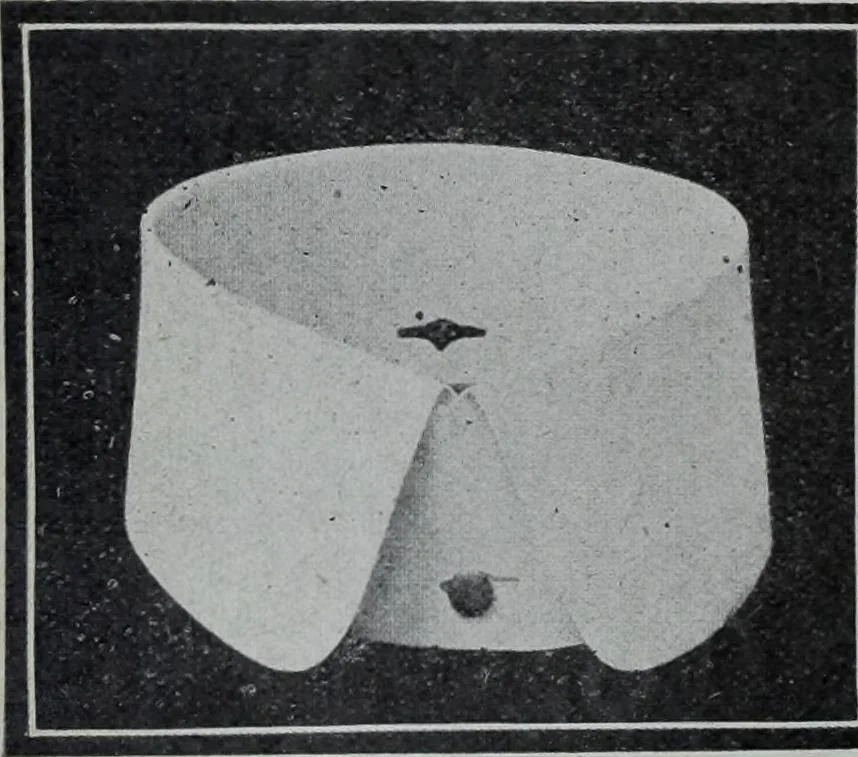 An illustration from Tissus et nouveauts 1906, 1906, leaf 403
