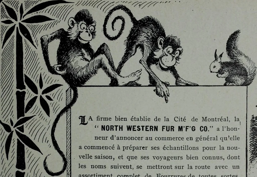 An illustration from Tissus et nouveauts 1906, 1906, leaf 42