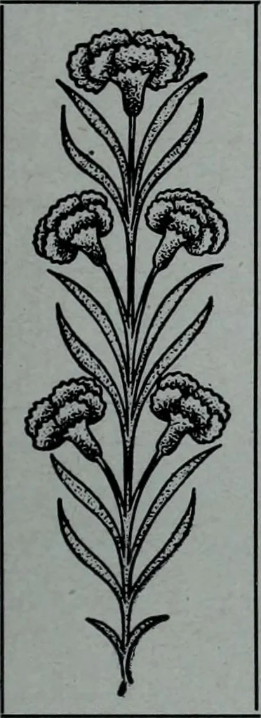 An illustration from Tissus et nouveauts 1906, 1906, leaf 578