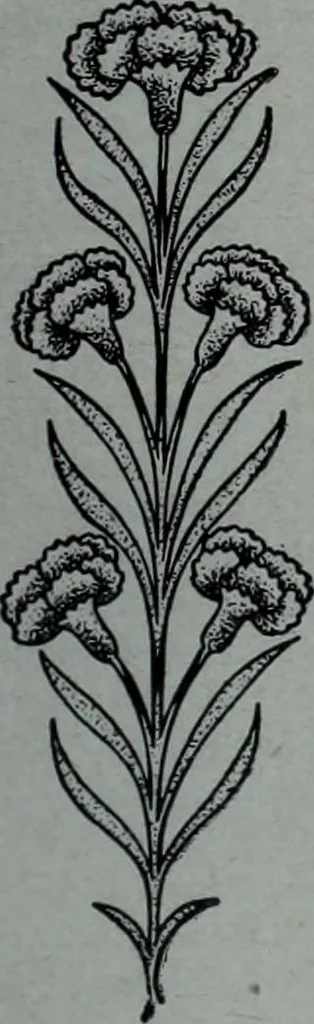 An illustration from Tissus et nouveauts 1906, 1906, leaf 600