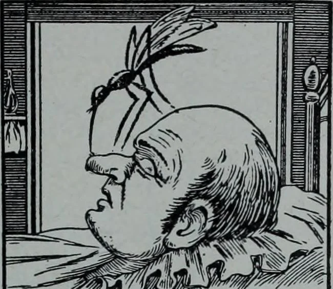 An illustration from Tissus et nouveauts 1906, 1906, leaf 640