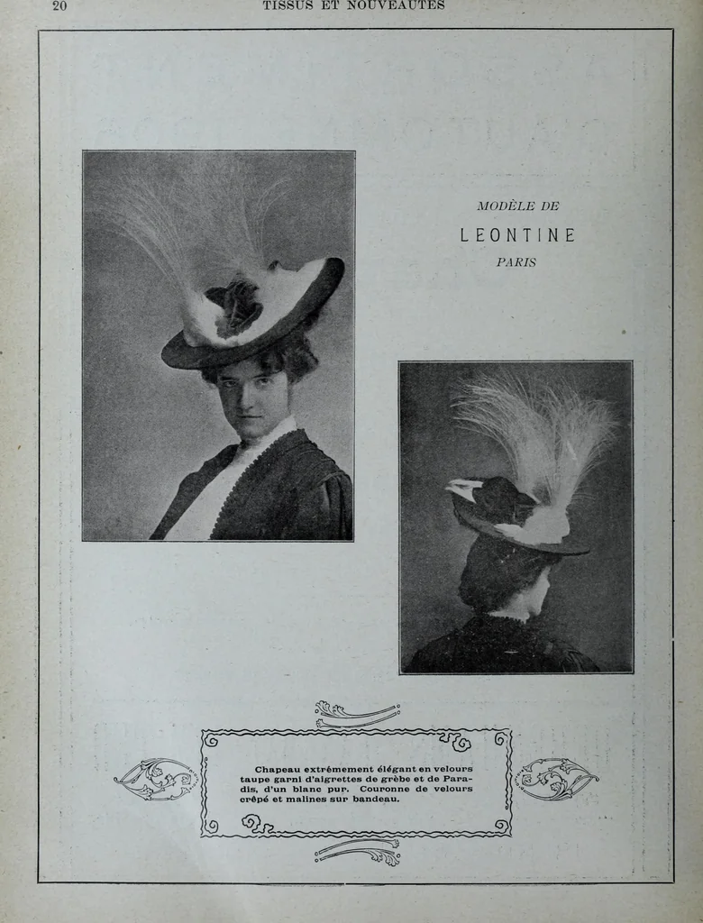 An illustration from Tissus et nouveauts 1906, 1906, leaf 675
