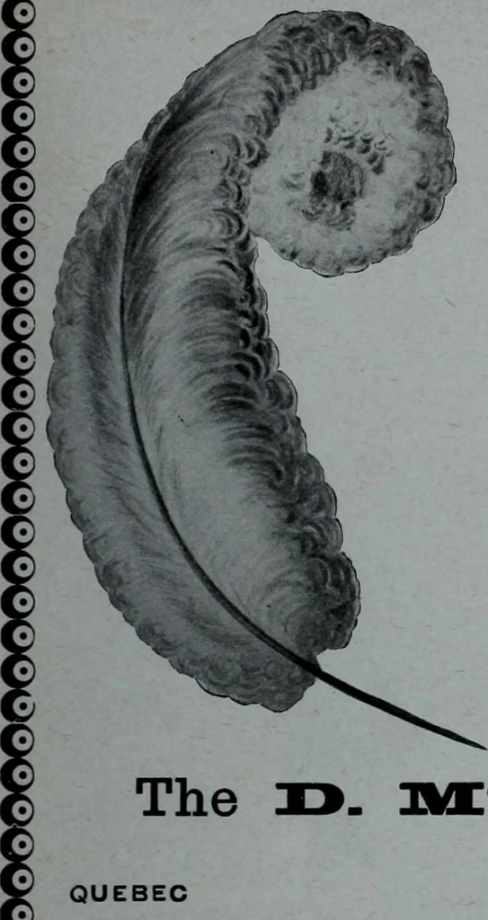 An illustration from Tissus et nouveauts 1906, 1906, leaf 700