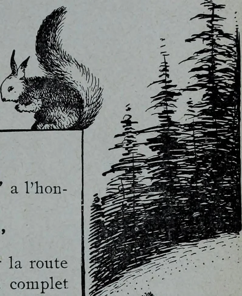 An illustration from Tissus et nouveauts 1906, 1906, leaf 704