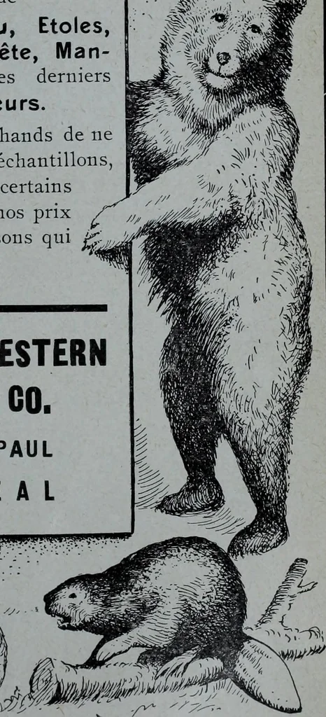 An illustration from Tissus et nouveauts 1906, 1906, leaf 704