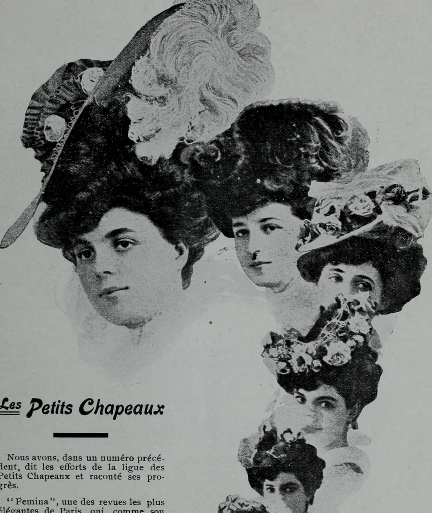 An illustration from Tissus et nouveauts 1906, 1906, leaf 788