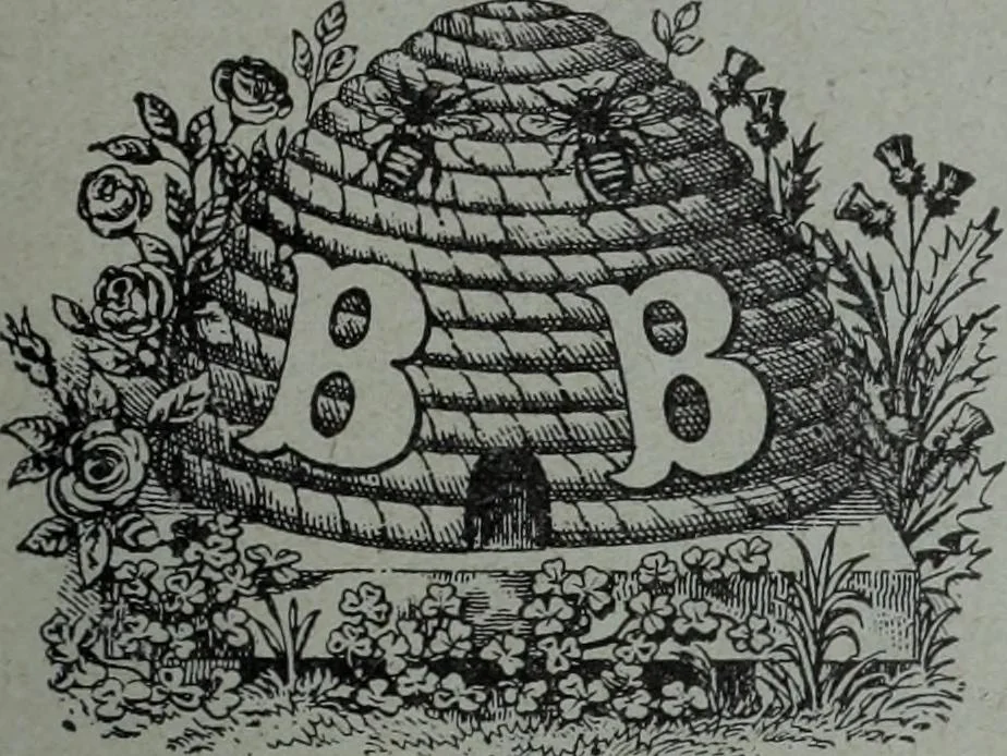 An illustration from Tissus et nouveauts 1906, 1906, leaf 86