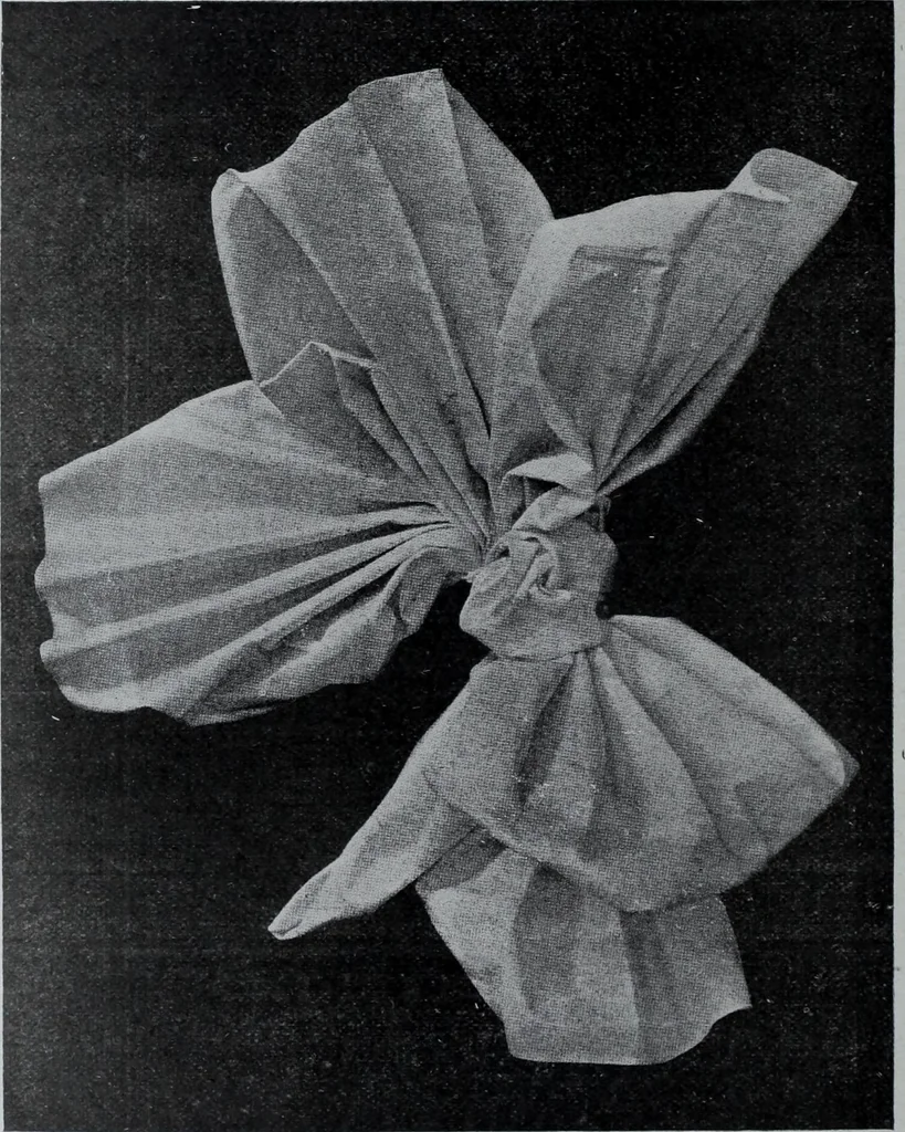 An illustration from Tissus et nouveauts 1907, 1907, leaf 129