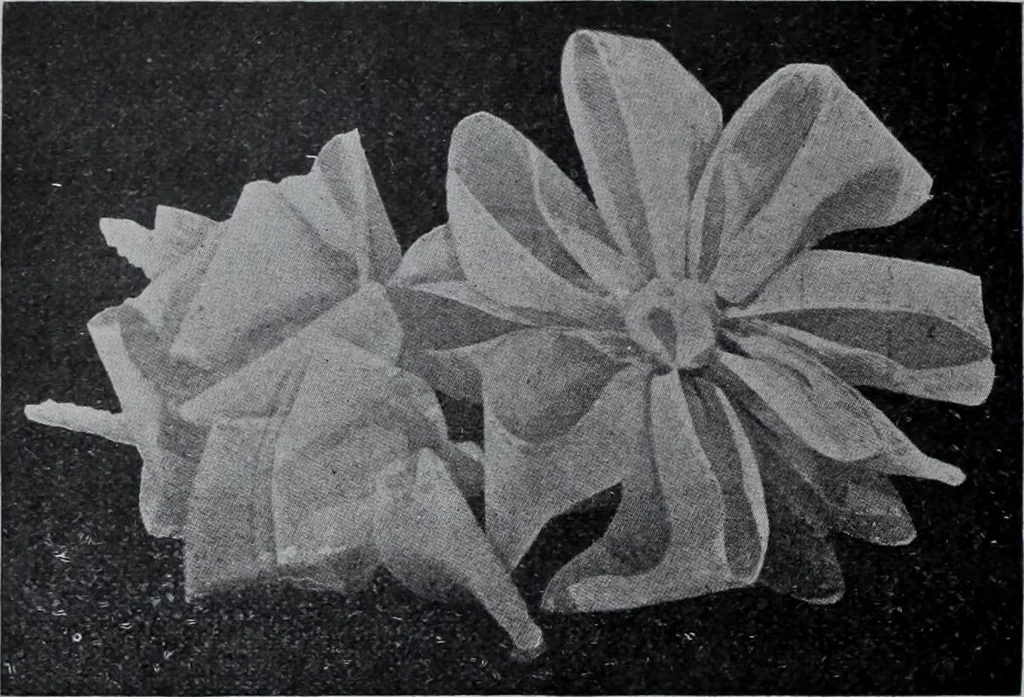 An illustration from Tissus et nouveauts 1907, 1907, leaf 133