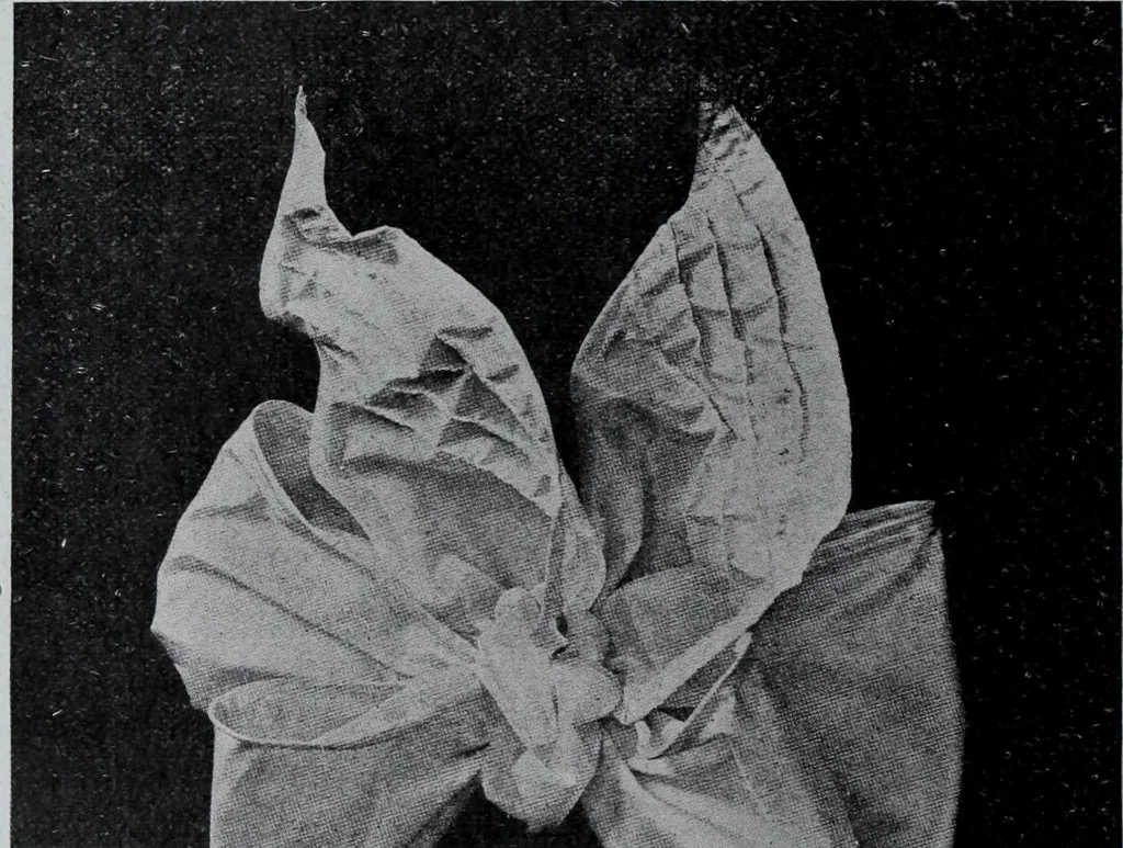 An illustration from Tissus et nouveauts 1907, 1907, leaf 133