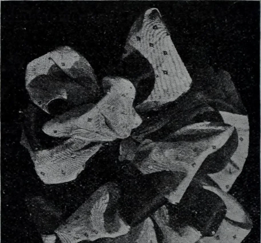 An illustration from Tissus et nouveauts 1907, 1907, leaf 189