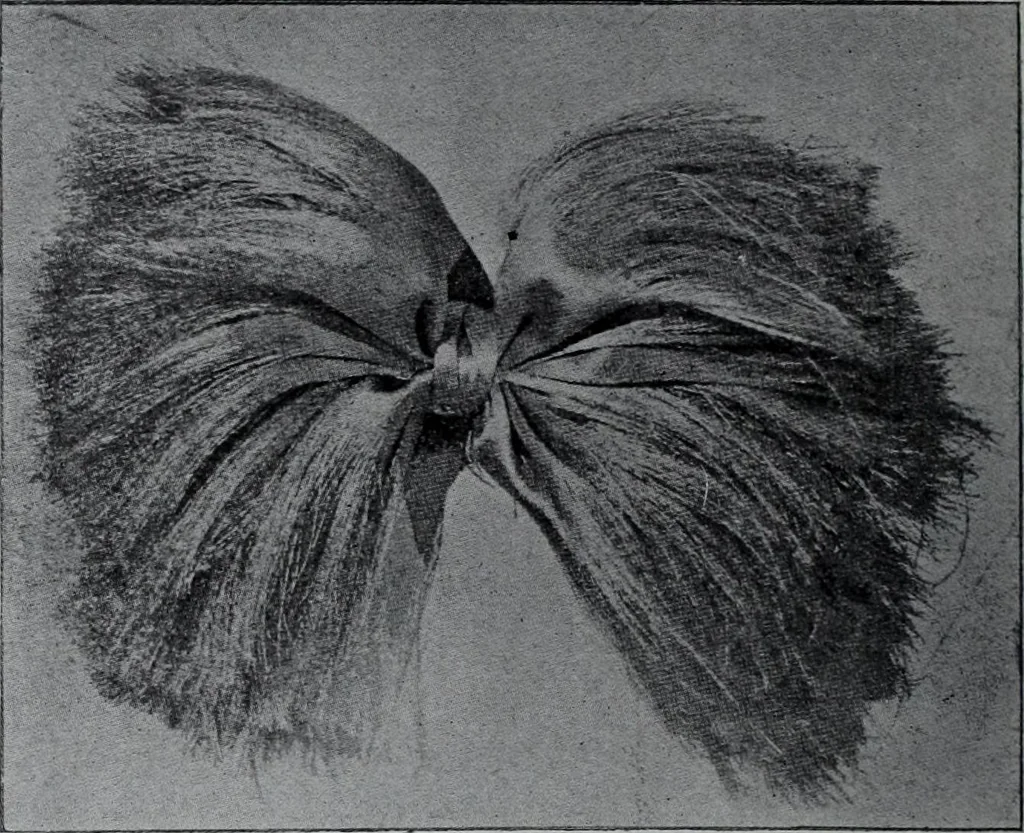 An illustration from Tissus et nouveauts 1907, 1907, leaf 191