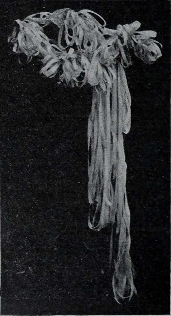 An illustration from Tissus et nouveauts 1907, 1907, leaf 191