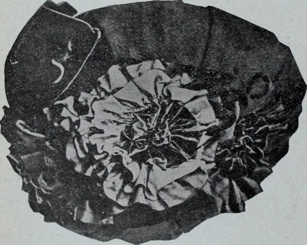 An illustration from Tissus et nouveauts 1907, 1907, leaf 195