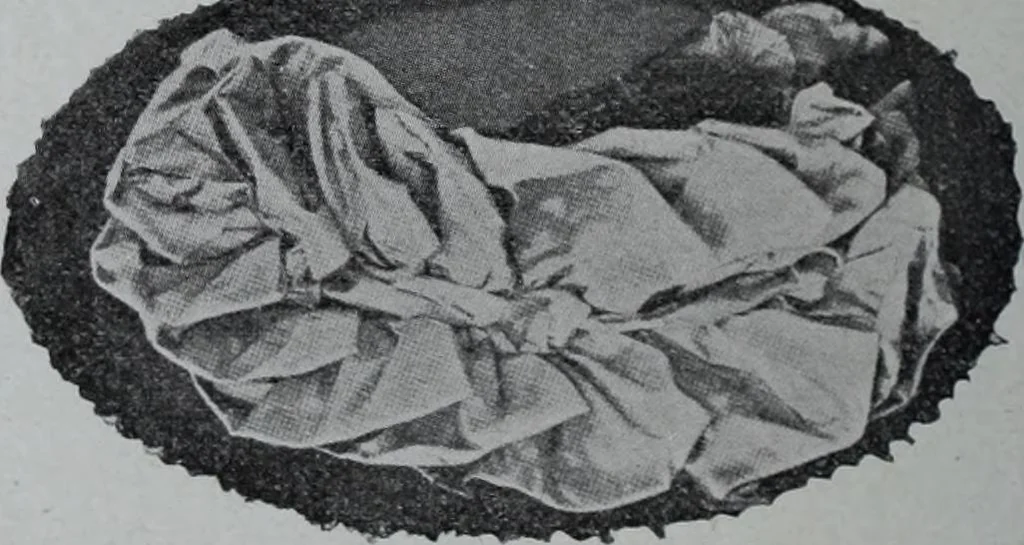 An illustration from Tissus et nouveauts 1907, 1907, leaf 261