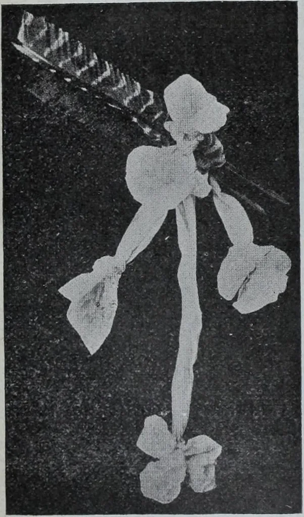 An illustration from Tissus et nouveauts 1907, 1907, leaf 263