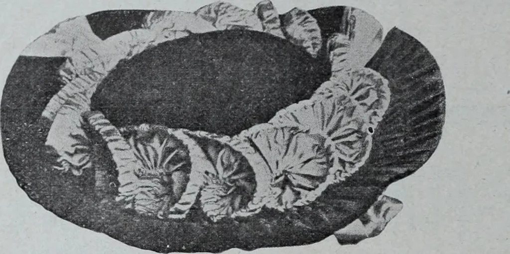 An illustration from Tissus et nouveauts 1907, 1907, leaf 263