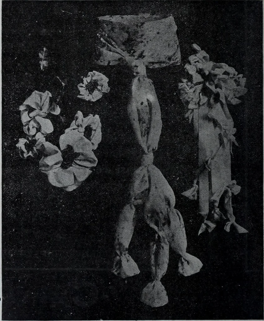 An illustration from Tissus et nouveauts 1907, 1907, leaf 265