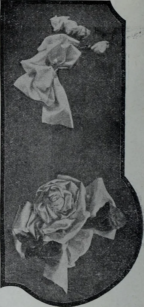 An illustration from Tissus et nouveauts 1907, 1907, leaf 267