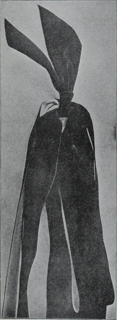 An illustration from Tissus et nouveauts 1907, 1907, leaf 269