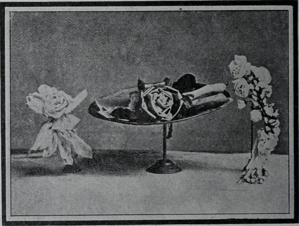 An illustration from Tissus et nouveauts 1907, 1907, leaf 269