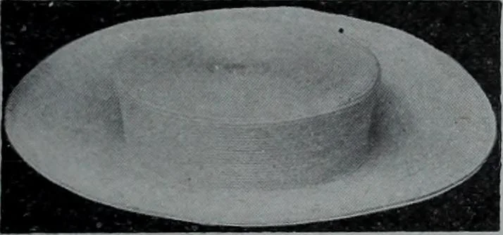 An illustration from Tissus et nouveauts 1907, 1907, leaf 276