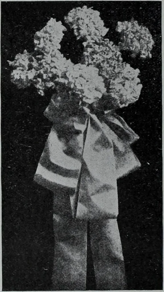 An illustration from Tissus et nouveauts 1907, 1907, leaf 41
