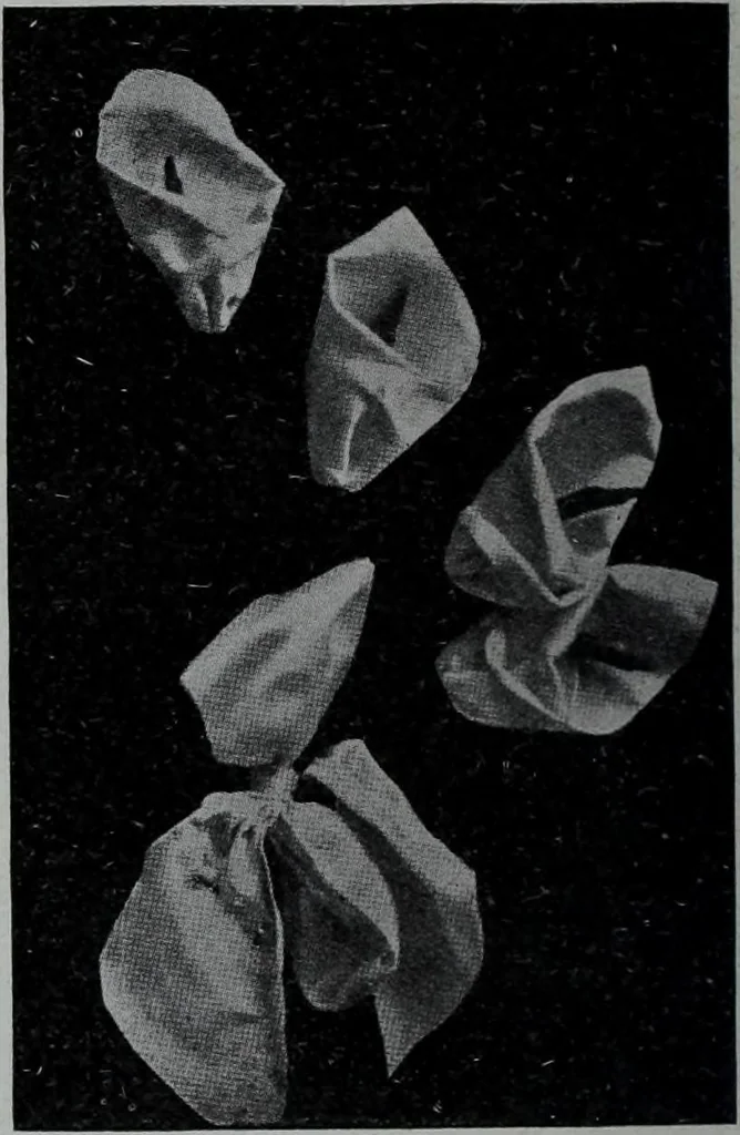 An illustration from Tissus et nouveauts 1907, 1907, leaf 41