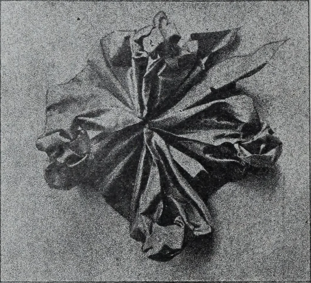 An illustration from Tissus et nouveauts 1907, 1907, leaf 423