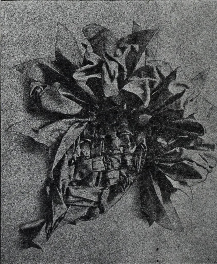 An illustration from Tissus et nouveauts 1907, 1907, leaf 423