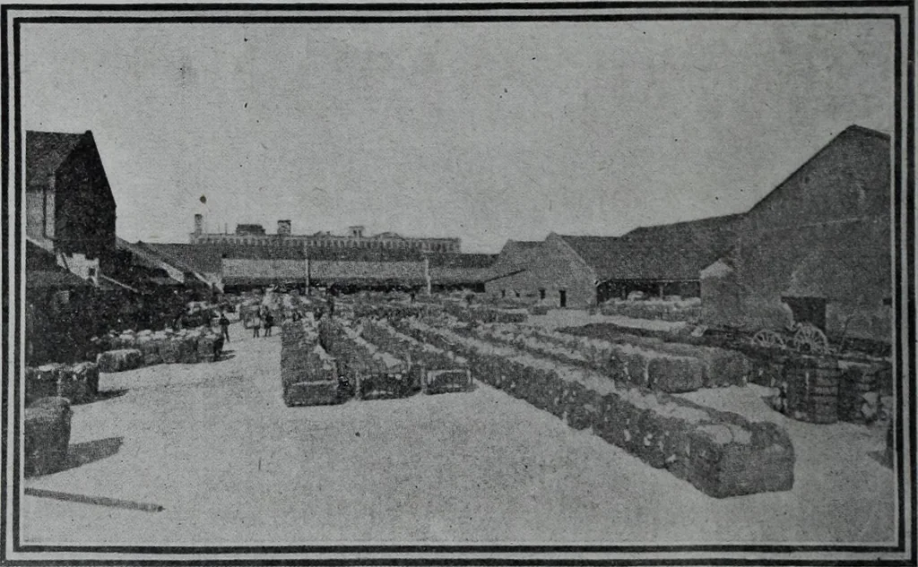 An illustration from Tissus et nouveauts 1907, 1907, leaf 429