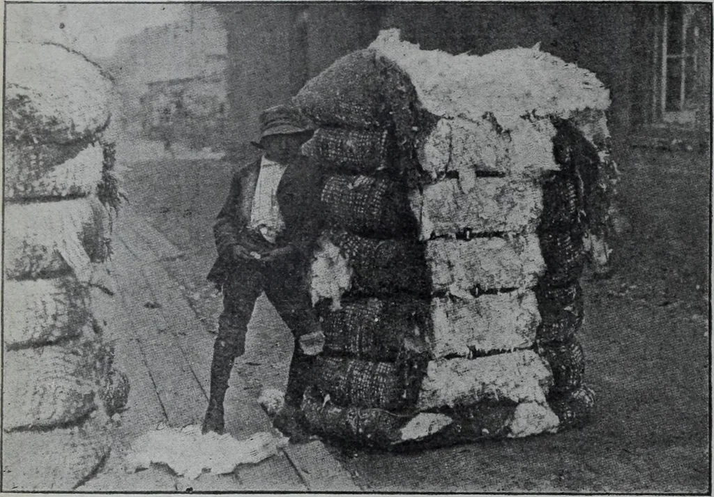 An illustration from Tissus et nouveauts 1907, 1907, leaf 431