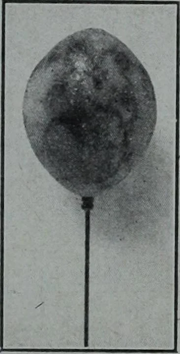 An illustration from Tissus et nouveauts 1907, 1907, leaf 440