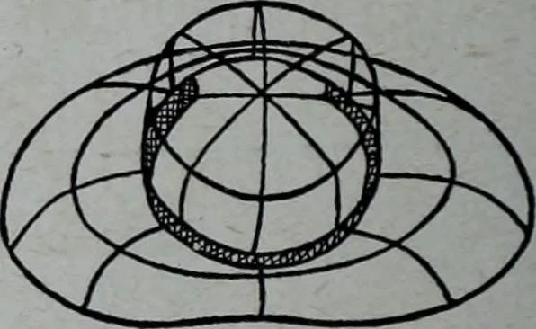An illustration from Tissus et nouveauts 1907, 1907, leaf 441