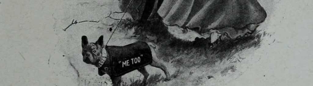 An illustration from Tissus et nouveauts 1907, 1907, leaf 482