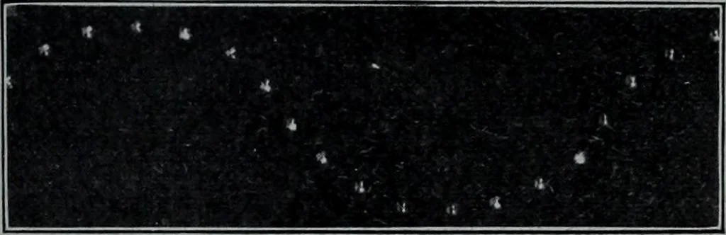 An illustration from Tissus et nouveauts 1907, 1907, leaf 50