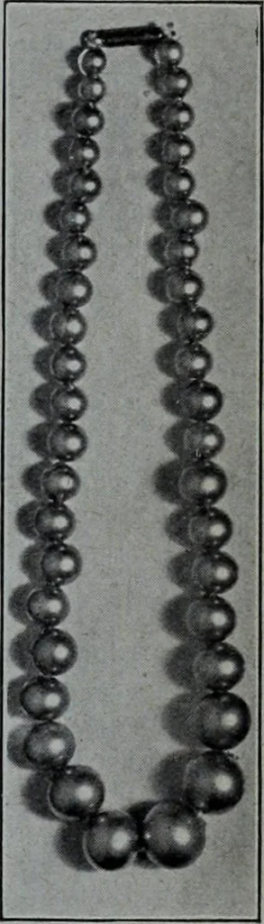 An illustration from Tissus et nouveauts 1907, 1907, leaf 50