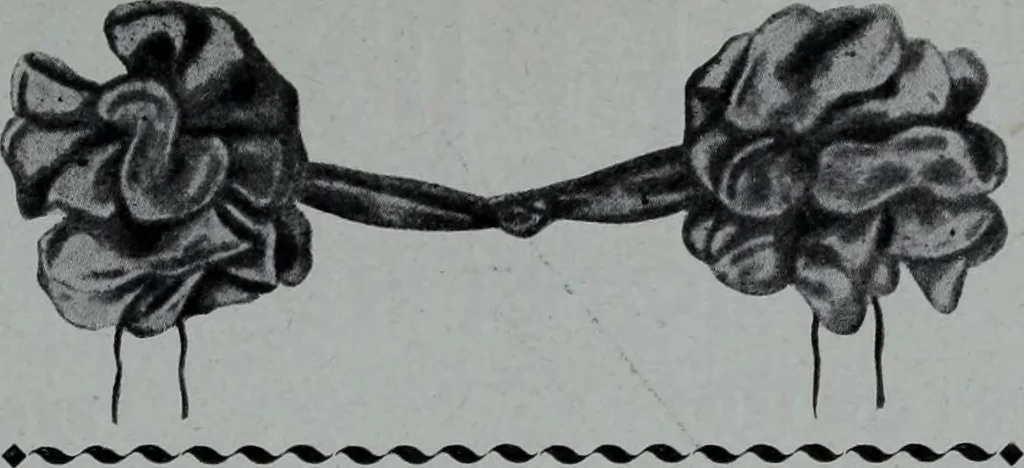 An illustration from Tissus et nouveauts 1907, 1907, leaf 56
