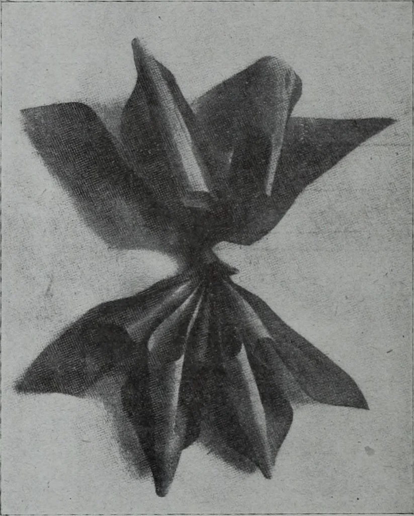 An illustration from Tissus et nouveauts 1907, 1907, leaf 597