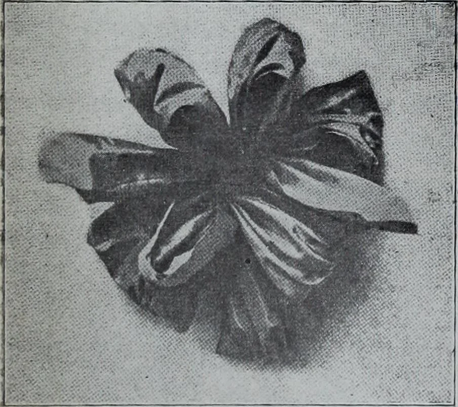 An illustration from Tissus et nouveauts 1907, 1907, leaf 599