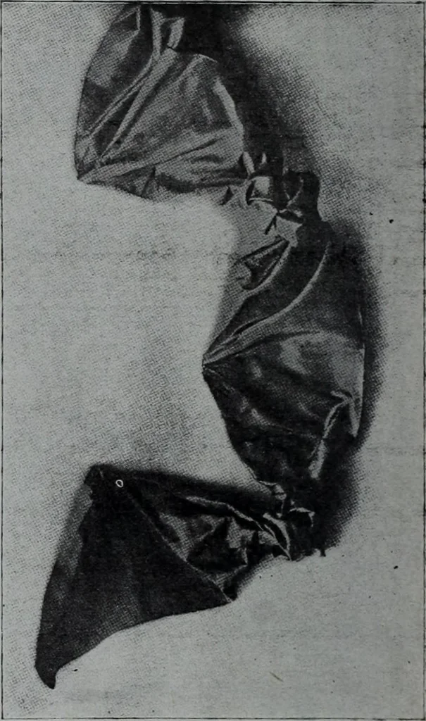 An illustration from Tissus et nouveauts 1907, 1907, leaf 599