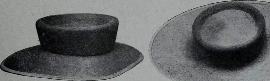 An illustration from Tissus et nouveauts 1907, 1907, leaf 666