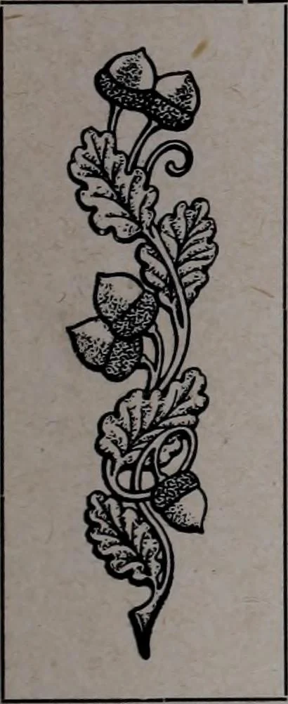 An illustration from Tissus et nouveauts 1907, 1907, leaf 726