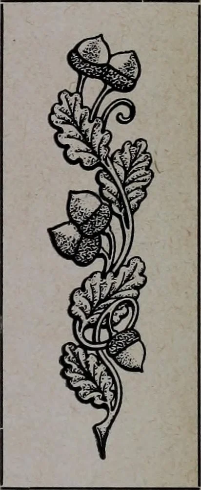An illustration from Tissus et nouveauts 1907, 1907, leaf 726