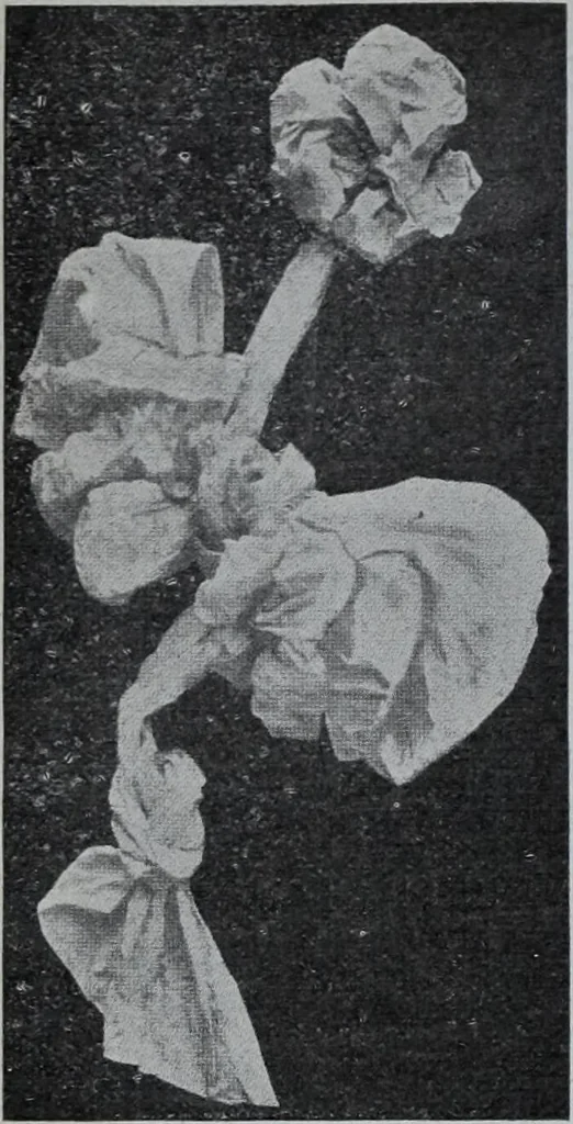 An illustration from Tissus et nouveauts 1907, 1907, leaf 79