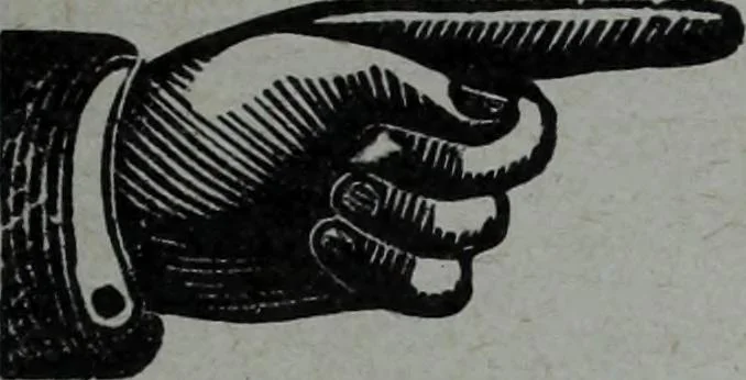 An illustration from Tissus et nouveauts 1908, 1908, leaf 204