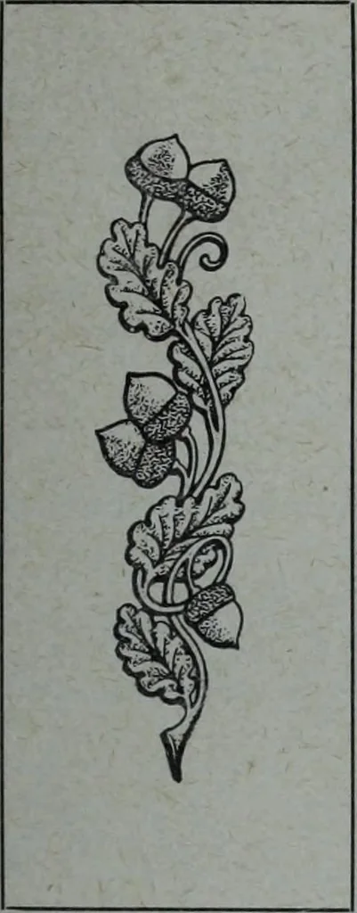 An illustration from Tissus et nouveauts 1908, 1908, leaf 204