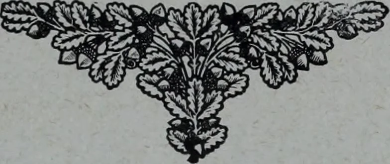 An illustration from Tissus et nouveauts 1908, 1908, leaf 246