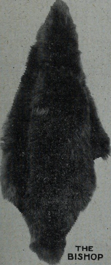 An illustration from Tissus et nouveauts 1908, 1908, leaf 434